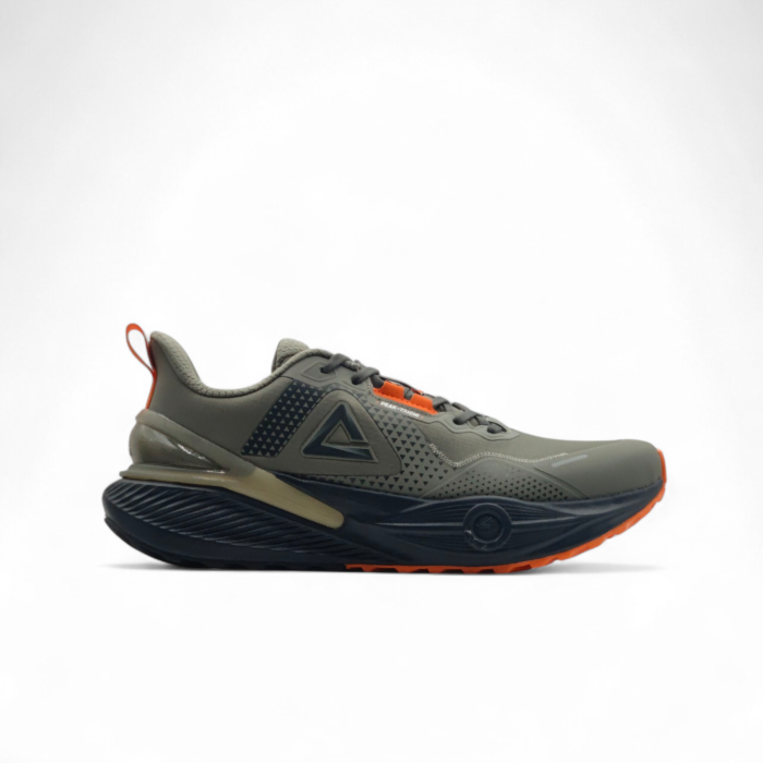 Peak Taichi TRAINING RUNNING SHOES ASH GREEN
